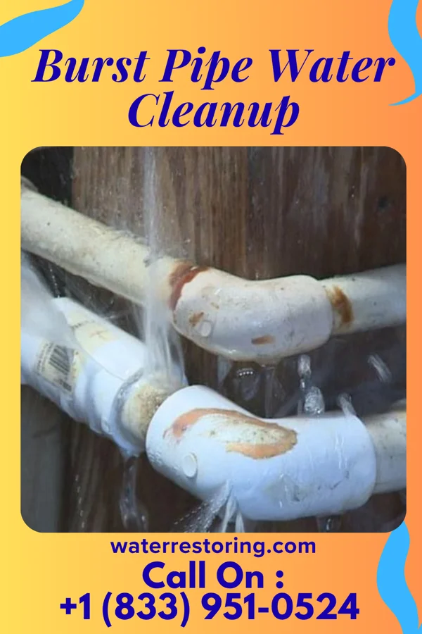 Burst Pipe Water Cleanup in Candlewood Knolls, CT
