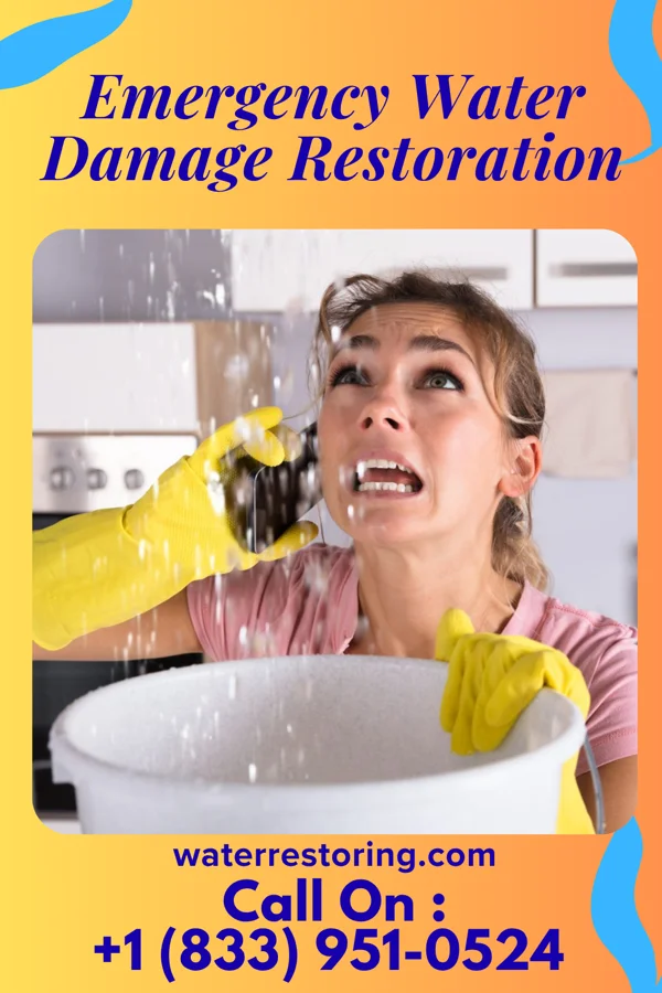 Emergency Water Damage Restoration in Candlewood Knolls, CT