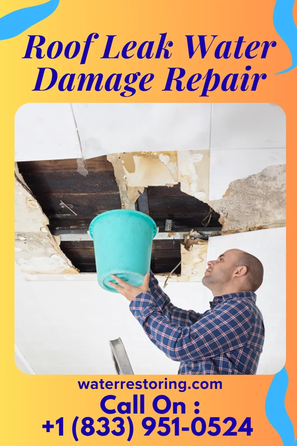 Roof Leak Water Damage Repair in Candlewood Knolls, CT